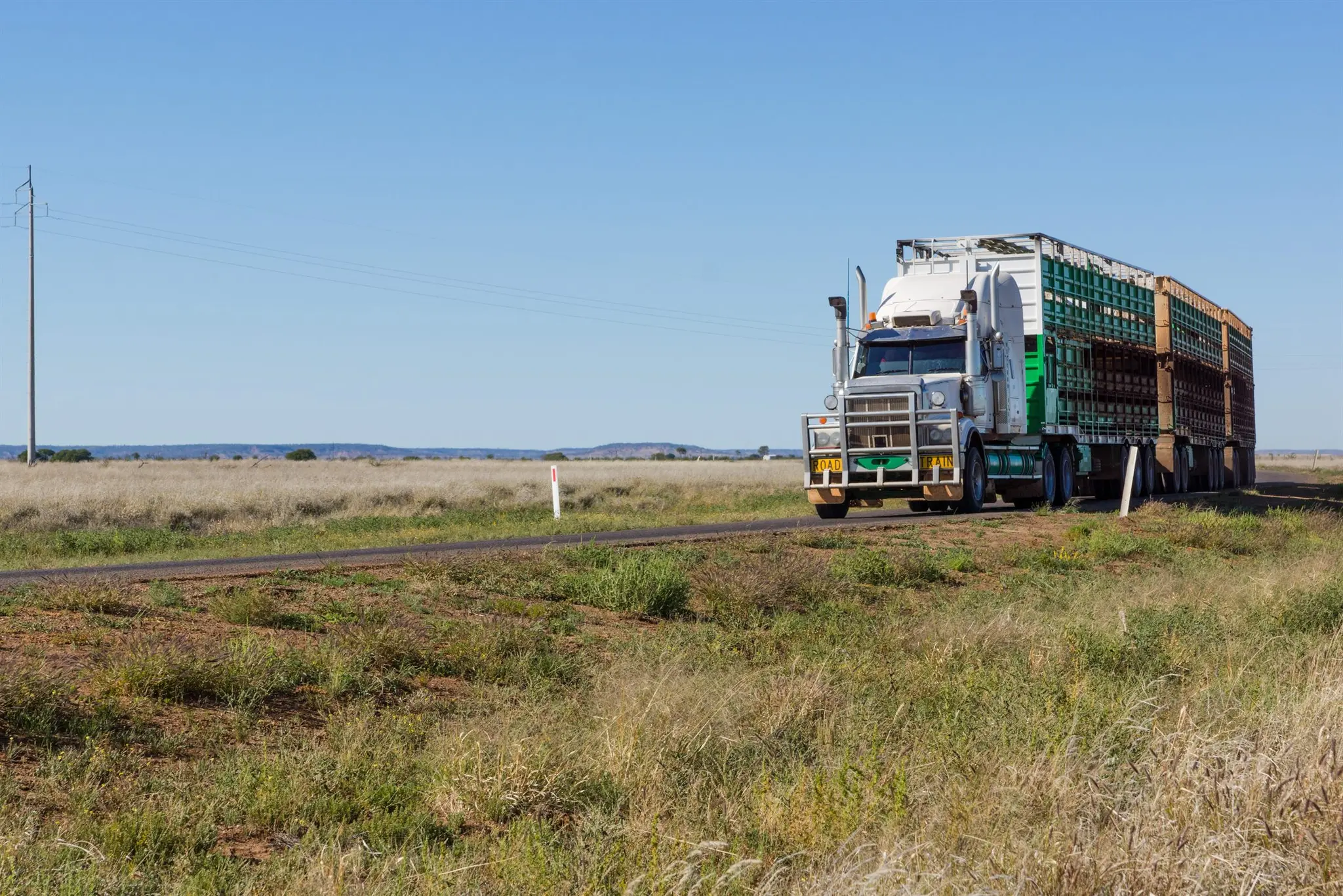 Livestock road-train on a rural highway